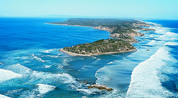 mornington-peninsula-day-trip.jpg